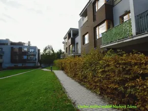 Pronájem bytu 2+kk, Praha - Žižkov, Za Vackovem, 64 m2