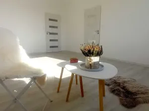 Pronájem bytu 1+1, Hradec Králové, třída Edvarda Beneše, 47 m2