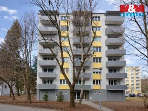 Prodej bytu 1+1, Písek - Budějovické Předměstí, Dr. M. Horákové, 37 m2