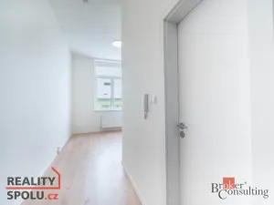 Prodej bytu 1+kk, Ostrava - Přívoz, Palackého, 23 m2