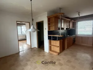 Prodej bytu 4+1, Doudleby nad Orlicí, U Parku, 94 m2