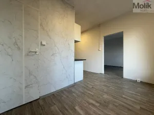 Pronájem bytu 3+1, Bílina - Teplické Předměstí, Sídliště Za Chlumem, 71 m2