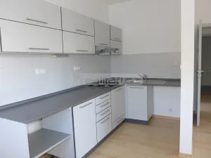 Pronájem bytu 2+kk, Plzeň - Černice, Do Zámostí, 52 m2