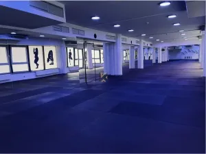 Pronájem obchodního prostoru, Praha - Vinohrady, Chrudimská, 360 m2