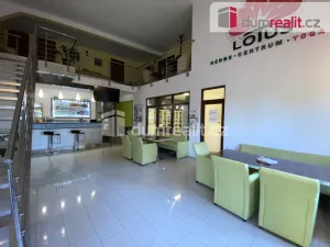 Pronájem komerční nemovitosti, Břeclav, Na Hrůdách, 70 m2