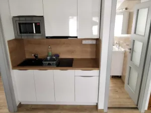 Pronájem bytu 2+kk, Lipno nad Vltavou, 40 m2