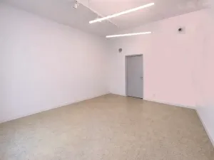 Pronájem výrobních prostor, Praha - Nusle, Mojmírova, 165 m2