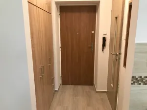 Pronájem bytu 1+1, Frýdek-Místek, Lískovecká, 29 m2