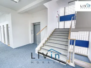 Pronájem obchodního prostoru, Olomouc, Karolíny Světlé, 128 m2