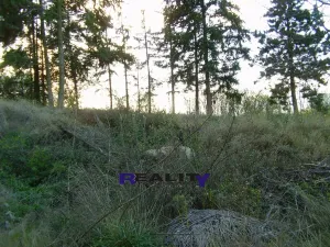 Prodej rodinného domu, Žatec - Milčeves, 205 m2