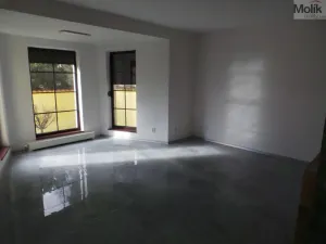 Pronájem rodinného domu, Mariánské Radčice, Dukelských hrdinů, 166 m2