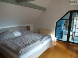 Pronájem rodinného domu, Mariánské Radčice, Dukelských hrdinů, 166 m2