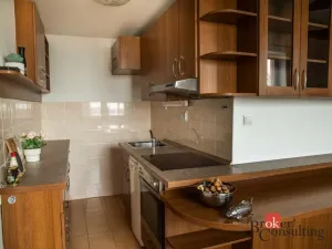 Prodej bytu 2+kk, Šestajovice, Komenského, 69 m2