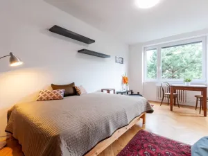 Pronájem bytu 1+1, Praha - Smíchov, K vodojemu, 33 m2