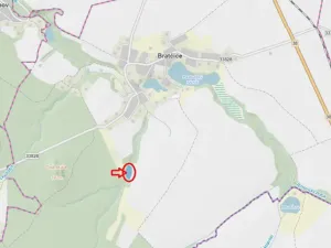 Prodej lesa, Bratčice, 5000 m2