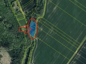 Prodej lesa, Bratčice, 5000 m2