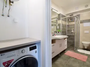 Pronájem bytu 2+kk, Brno - Dolní Heršpice, Vomáčkova, 44 m2