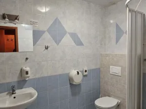 Pronájem ubytování, Přerov - Přerov I-Město, Jižní čtvrť III, 2806 m2