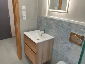Pronájem bytu 1+kk, Plzeň - Skvrňany, Domažlická, 25 m2
