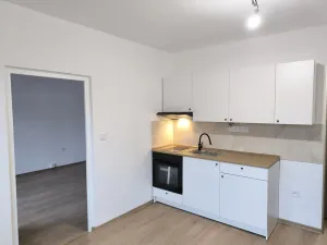 Pronájem bytu 1+1, Teplice - Trnovany, U Vlastního krbu, 35 m2