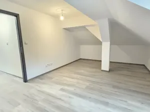 Prodej rodinného domu, Ústí nad Labem, Ve Stráni, 272 m2