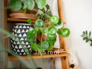 Prodej bytu 3+1, Uherské Hradiště, 69 m2