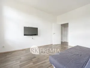 Pronájem bytu 3+1, Teplice, U Hadích lázní, 115 m2