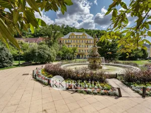 Pronájem bytu 3+1, Teplice, U Hadích lázní, 115 m2