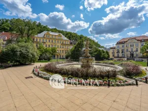 Pronájem bytu 3+1, Teplice, U Hadích lázní, 115 m2