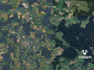 Prodej podílu lesa, Olešnice, 254 m2