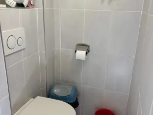 Pronájem bytu 1+kk, Praha - Troja, Trojská, 40 m2