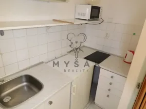 Pronájem bytu 3+1, České Budějovice - České Budějovice 3, Fráni Šrámka, 58 m2