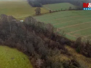 Prodej louky, Bílá - Hradčany, 6046 m2