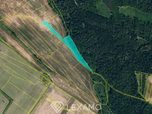 Prodej podílu 1/2 pole, Černín, 54498 m2