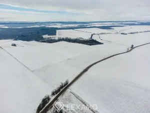 Prodej podílu 1/2 pole, Černín, 54498 m2