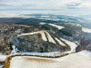 Prodej podílu 1/2 pole, Černín, 54498 m2