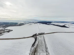 Prodej podílu 1/2 pole, Běhařovice - Ratišovice, 54498 m2