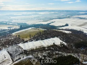 Prodej podílu 1/2 pole, Běhařovice - Ratišovice, 54498 m2