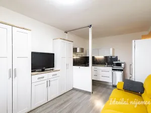 Pronájem bytu 2+kk, Praha - Karlín, Nekvasilova, 40 m2