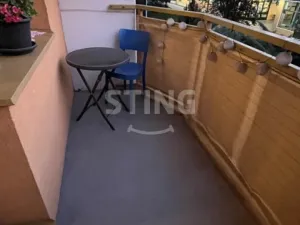 Pronájem bytu 1+1, Brno, Palackého třída, 40 m2