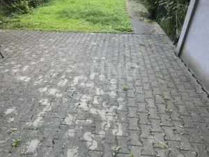 Pronájem bytu 2+kk, Brno, Kuřimská, 42 m2