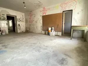 Prodej rodinného domu, Kostelec nad Orlicí, Kamenečná, 99 m2