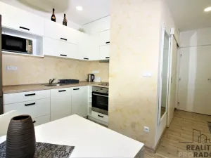 Prodej bytu 1+1, Znojmo, Gagarinova, 33 m2