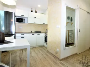 Prodej bytu 1+1, Znojmo, Gagarinova, 33 m2