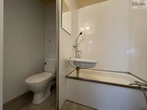 Pronájem bytu 1+kk, Bílina - Pražské Předměstí, Alšova, 27 m2