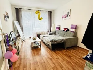 Pronájem bytu 1+kk, Strakonice - Strakonice I, Ellerova, 26 m2
