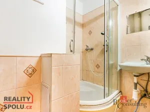 Prodej bytu 1+kk, Brno, 15 m2