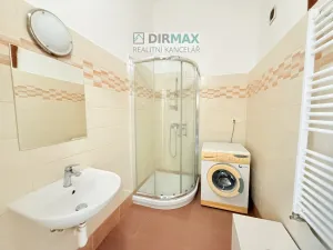 Pronájem bytu 1+1, Plzeň, Puškinova, 50 m2