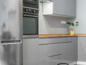 Prodej bytu 2+kk, Plzeň - Jižní Předměstí, Inženýrská, 50 m2