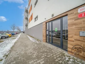 Prodej bytu 2+kk, Plzeň - Jižní Předměstí, Inženýrská, 50 m2